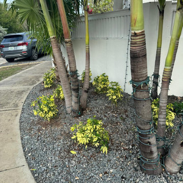 Tropical Walkway & Landscape Design in Key West