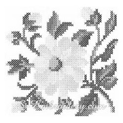 TEST - Products