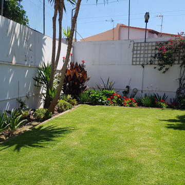 Restauración y plantación