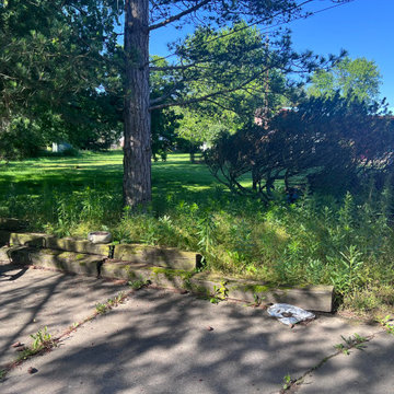 Replace Failing Retaining Wall & Aggressive Landscaping & Overgrowth Cleanup