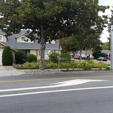 Busy Street Corner gets Color