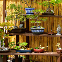 garden furniture