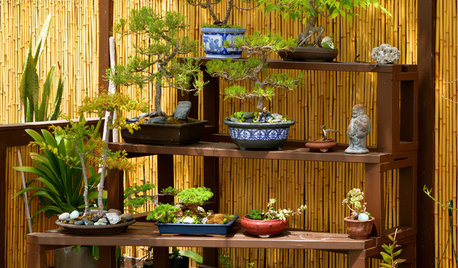Small Space Solutions: 10 Ideas for Tiny Urban Balconies