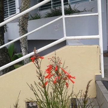 Sweet and simple front of the house