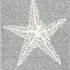 Hacienda Starfish Indoor/Outdoor Rug, Gray, 8'x10'