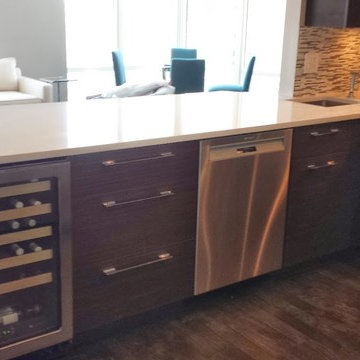 Contemporary Kitchen