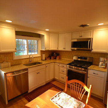 Berwyn Kitchen Remodel