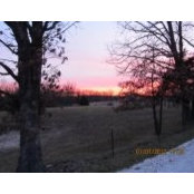 Michelle Marquis-Volkmann's photo