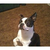Bobbie Gill's photo