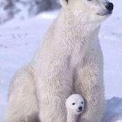 Tom Iskrzak's photo