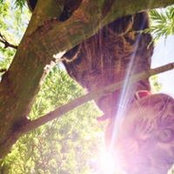 Kody Merrival's photo