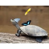 Fran Connelly's photo
