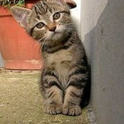 Marie Luce Martin's photo