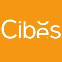 Cibes Lift Deutschland GmbH