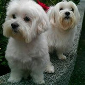 Rita Chen's photo
