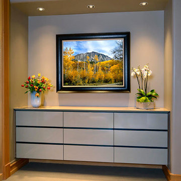 Contemporary Built-Ins