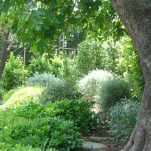Landscape Ideas
