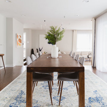 My Houzz: Minimalist, Clean and Collected Mid-Century Modern Home in Chicagoland