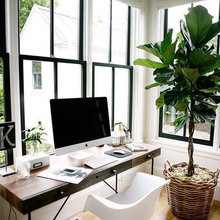 Study/office