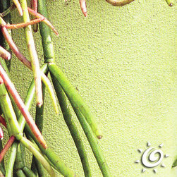 Italian Real Colored Clay Flowerpots - Outdoor Pots And Planters