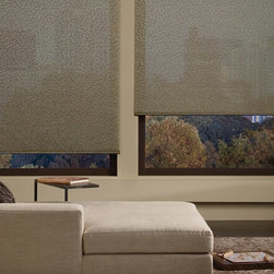 Hunter Douglas Alustra&reg; Screen Shades - Roller Shades