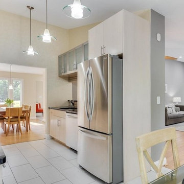 Annapolis Modern Kitchen