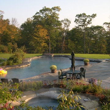 Pool and Spa