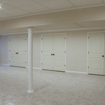 Des Plaines Basement