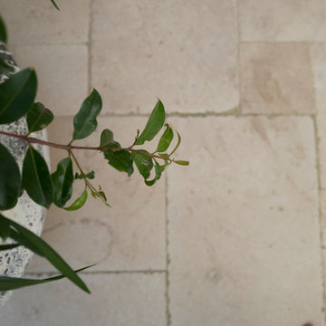 Waverley - Pool + Garden