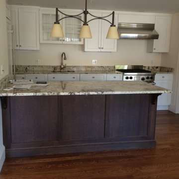 Luxury Condo Kitchen Variations