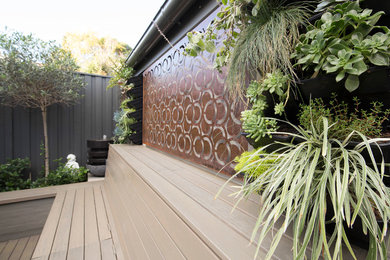Design ideas for a modern garden in Sydney.