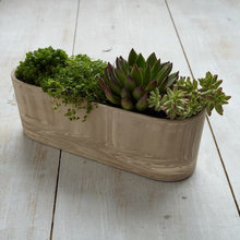 flowers, plants
