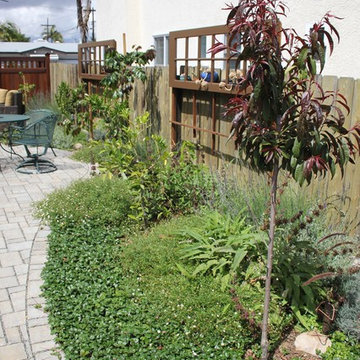 Water Wise Craftsman Home Landscaping