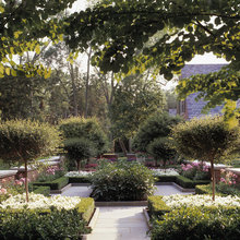 Landscape Ideas