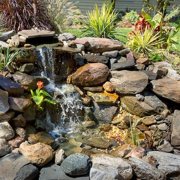 landscaping