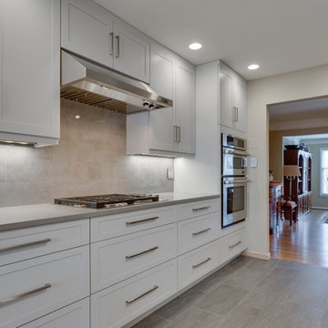 Modern Kitchen Remodel Rockville, MD