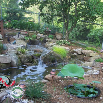 KOI Pond, Backyard Pond & Small Pond Ideas for your Kentucky Landscape