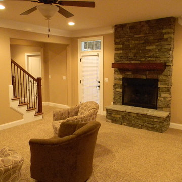 Basement Remodel