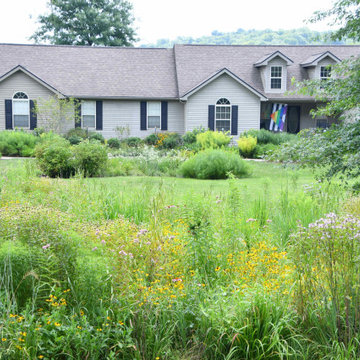 Layered, diverse native plant material enhances potential for wildlife habitats.