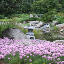 Coombe House Garden- Japanese