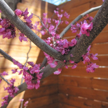A wrap around garden with a fabulous water featurel!