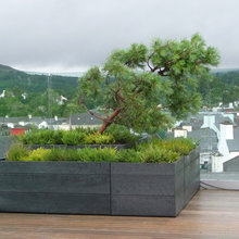 roof top gardens