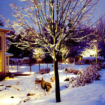 Winter Wonderland Lighting