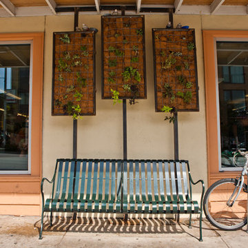 Wheatsville Co-op