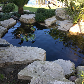 garden pond