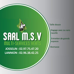 SARL M.S.V