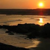 Javier Swayne's photo