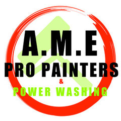 AME Pro Painters LLC