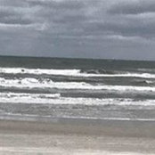 Liz Beach's photo
