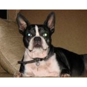Rodney Butler's photo